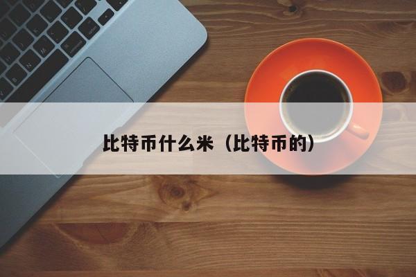 比特币什么米(比特币的)